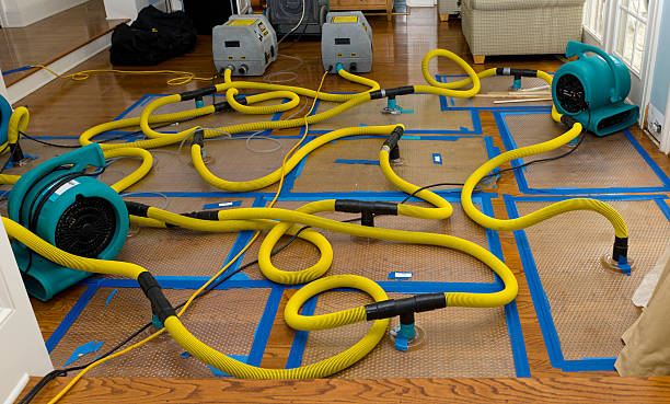 Professional Crawl Space Water Removal technician working in Argyle, TX